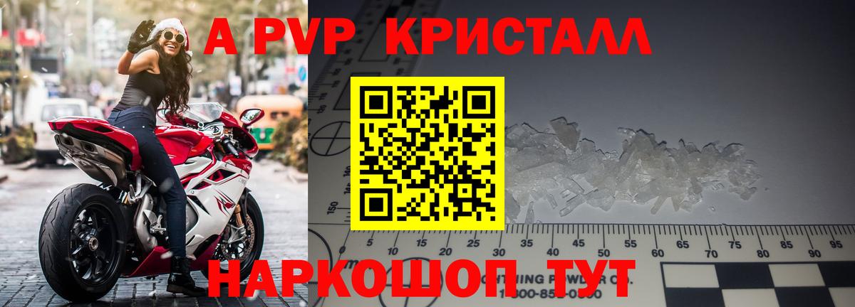 A PVP СК Мытищи