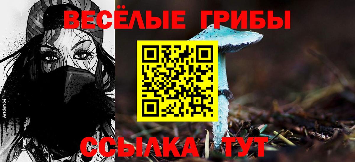 Псилоцибиновые грибы мухоморы Мытищи